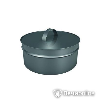 Заглушки Теплов и Сухов Заглушка ревизии Термо-Р 304 0.5 D220(120) в Анапе