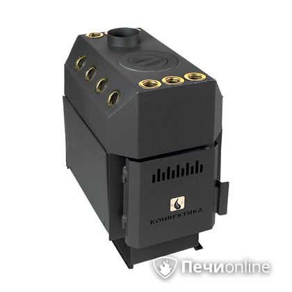 Отопительно-варочная печь Конвектика Ставр 150 с варочной поверхностью  в Анапе