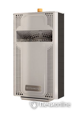 Электрическая печь Теплодар SteamCity-2 в Анапе