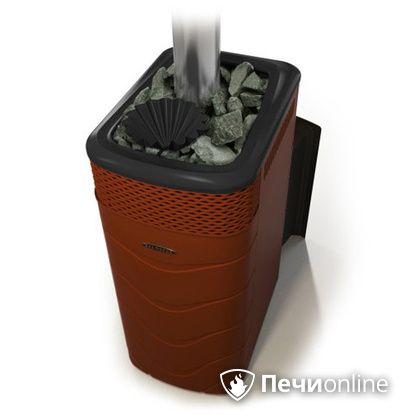 Дровяная банная печь TMF Гейзер XXL 2017 Inox Витра закрытая каменка терракота в Анапе