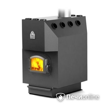 Печь-буржуйка TMF Профессор с чугунной дверцей со стеклом твердотопливная в Анапе